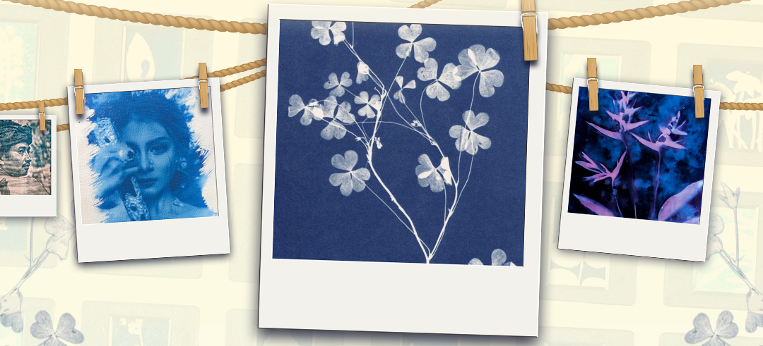 Workshop Cyanotype Photography